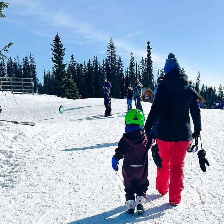 An adult and a toddler in show suits hold hands and walk through the snow, on a sunny day with slue sky and trees on the hori